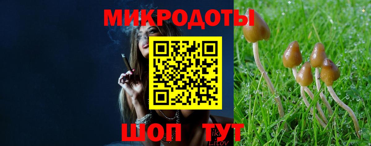 Кашира  Псилоцибиновые грибы GOLDEN TEACHER  Вход с VPN 